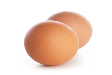 egg on white background