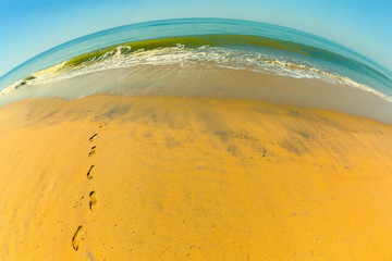 Footprints in the sand leading from the water