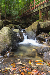 Waterway streaming along the forest in Ranong, Thailand