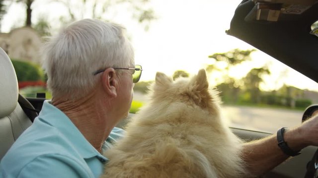 Active Senior Man Leaves His Neighborhood, For A Joy Ride In His Luxury Convertible, With His Happy Dog, In Florida - Shot On Red Scarlet-W Dragon In 4K/ Slow Motion