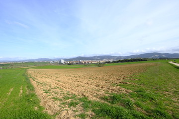 Fototapeta na wymiar Green field in Mollet del Valles in Barcelona province in Catalonia Spain