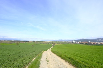 Fototapeta na wymiar Country road in Mollet del Valles in Barcelona province in Catalonia Spain to the horizon between green fields
