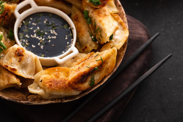 Japanese dumplings snack or side dish called Gyoza or Jiaozi in China.