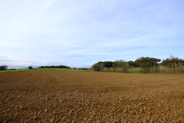 Landscape with agricultural land of plains, recently plowed and prepared for cultivation in Mollet del Valles in Barcelona Catalonia Spain