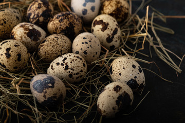 Quail eggs in a straw nest.