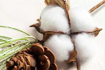 Christmas holidays ornament