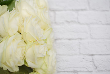 white roses on wooden background