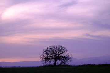 Fototapeta na wymiar Landscape at sunset in Mollet del Valles in Barcelona province in Catalonia Spain
