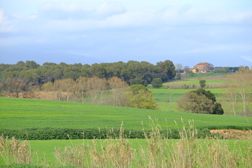 Fototapeta premium Greenfield and hill in Mollet del Valles in Barcelona province in Catalonia Spain