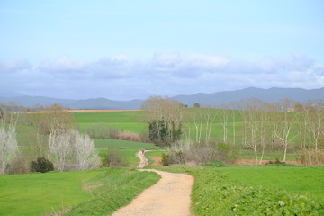 Country road in Mollet del Valles in Barcelona province in Catalonia Spain to the horizon between green fields