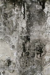 Concrete textured background