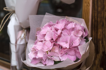 Pink flower hydrangea