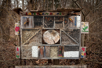 Bee and insect hotel