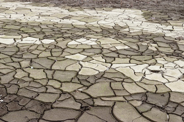 乾燥してひび割れた大地