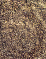 Ground full of splinters of wood