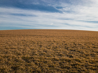 Rural field view in early spring