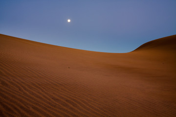 Fototapeta na wymiar Moony landscape on sand dunes.