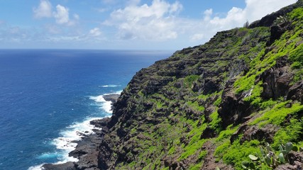 Fototapeta premium Cliffside