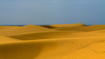 Landscape of empty sand dunes  in Maspalomas, Gran Canaria.