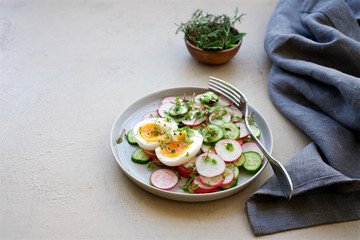 Fresh salad with radish, cucumber and egg. Gray wooden background
