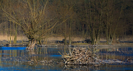 Żeremie Bobrowy Domek © Wojciech Lisiński