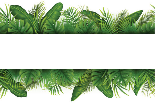 Tropical jungle background with palm trees and leaves on white background