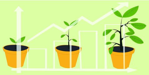 Growth concept. Plant growing stages. Timeline infographic of planting tree process. Green plant flower, graphic gardening seedling plant. Financial chart, graph in front