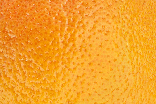 peel of grapefruit