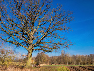 Rural landscape view in Bavaria Germany