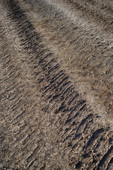 Brown tire tracks in the dirt road