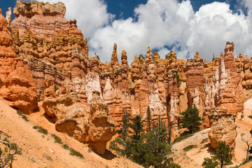 Naklejka premium Bryce Canyon 40