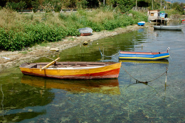 Obraz premium old colorful wooden fish boats on lake shore with reed, Lake Dojran, Macedonia