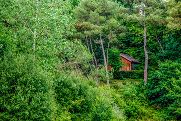 Lonely hut in the middle of a dense forest