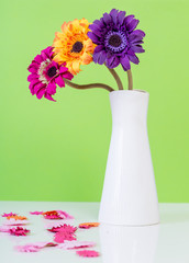 tre blommor i lila, rosa och gult i vas mot grön bakgrund stående