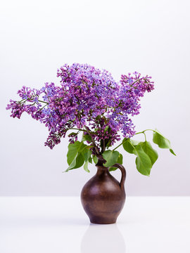 lila syrenkvistar i en urna mot vit bakgrund