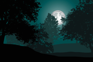 A deciduous forest with trees under a night sky with full moon - spooky