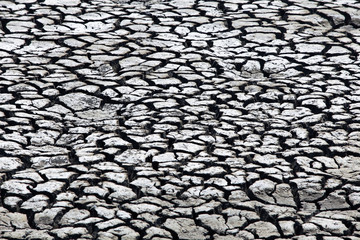 landscape of dry cracked soil texture ground.