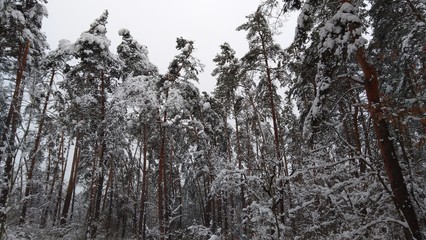 Myche_ck_future_stree_cityonheaven