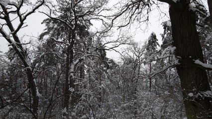 Myche_ck_future_stree_cityonheaven