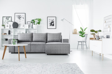 Grey and white living room