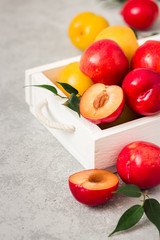 Ripe golden and red plums in white wooden box on concrete background. Selective focus, space for text.