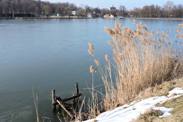 The view of a pond and the shore