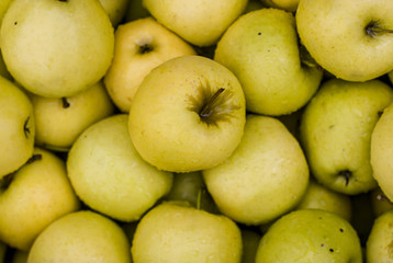 Fresh green apples