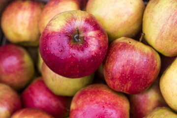 Fresh red apples