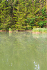 Spiegelung von Bäumen auf einem See in den Alpen