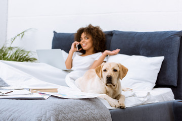 labrador dog lying on bed while woman working with laptop and talking by phone at home