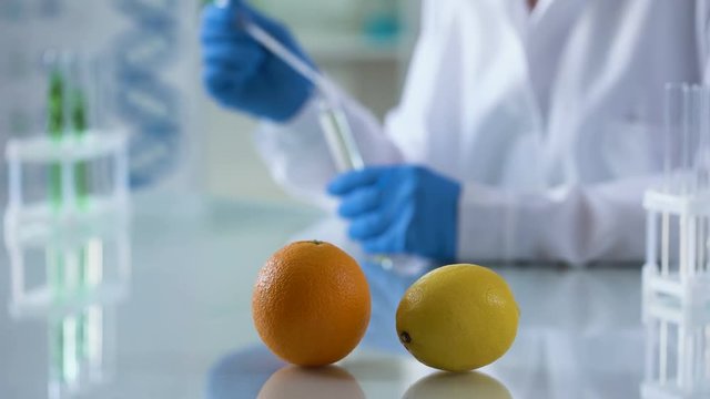 Orange and lemon lab table, chemist working on perfumery extract, aromatherapy