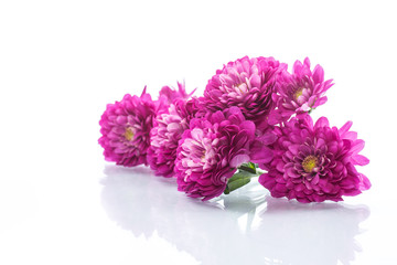 bouquet of beautiful chrysanthemums