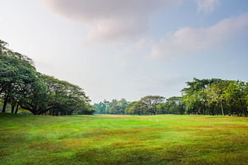Green grass field with tree in Public Park