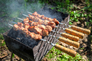 Cooking meat on the fire. Shish kebab on the grill